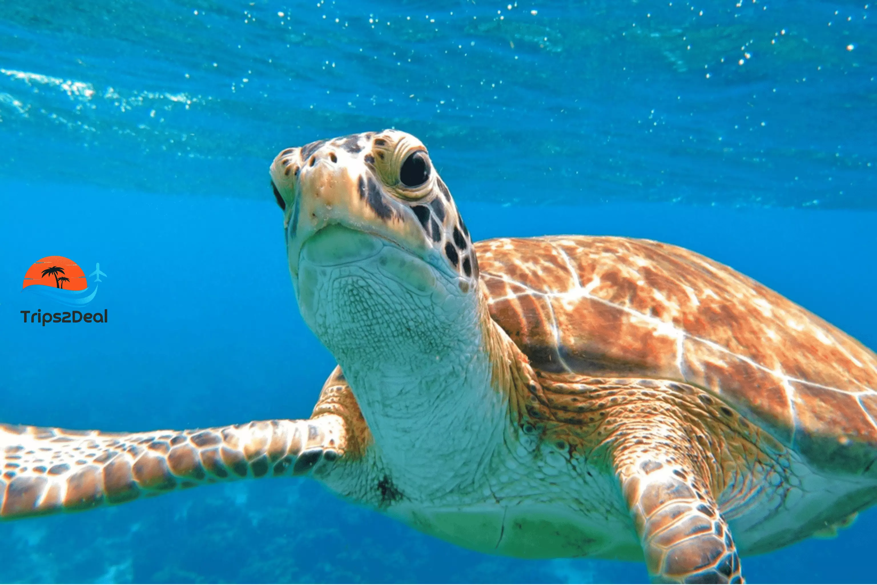 Aktivitäten in Marsa Alam