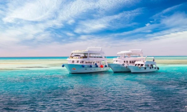 Hurghada: Delfin-Haus-Tour mit schnorcheln und Mittagessen