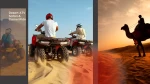 Best Ways To Experience a Desert Safari Adventure in Sharm El Sheikh
