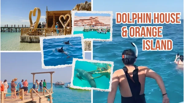 Ausflug mit dem Schnellboot zur Orange Island und zum Delfinhaus