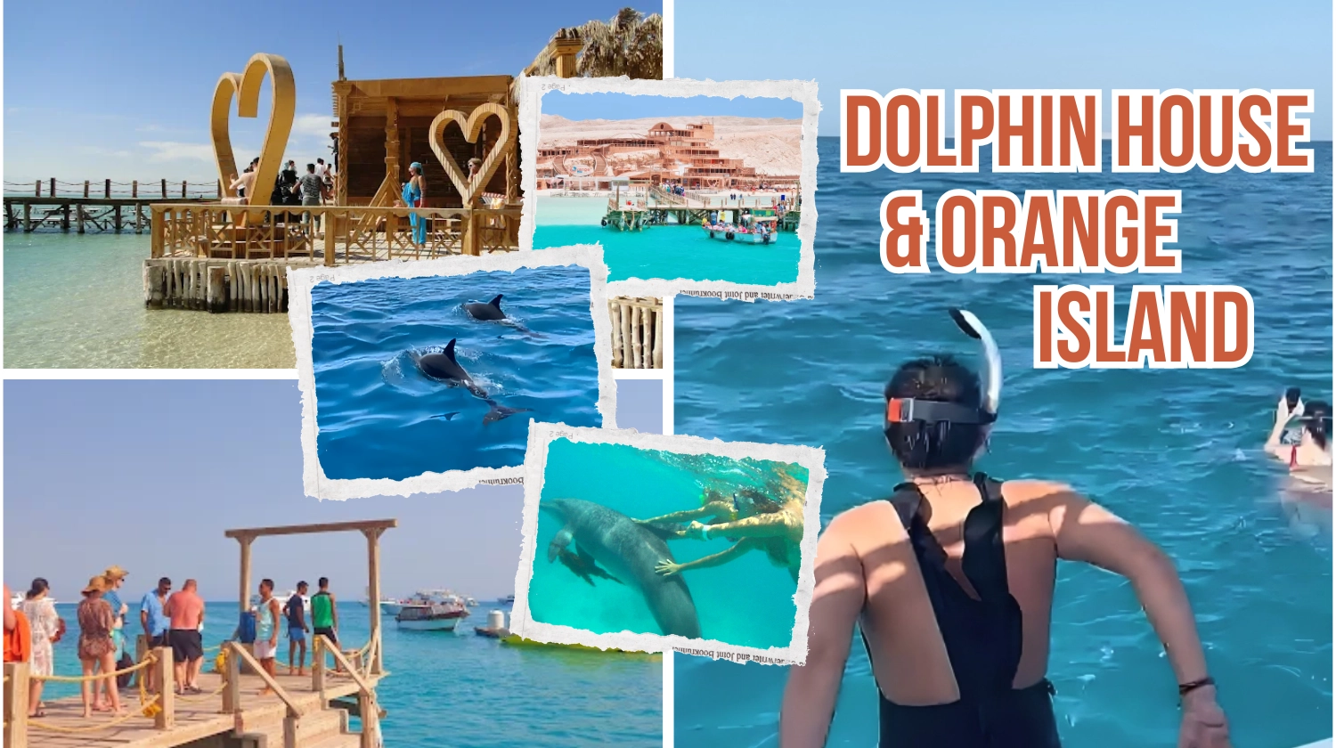 Trip To Orange Island & Dolphin House By Speedboat