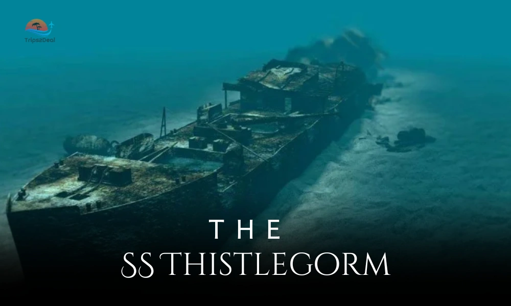 SS Thistlegorm famous wreck dive site