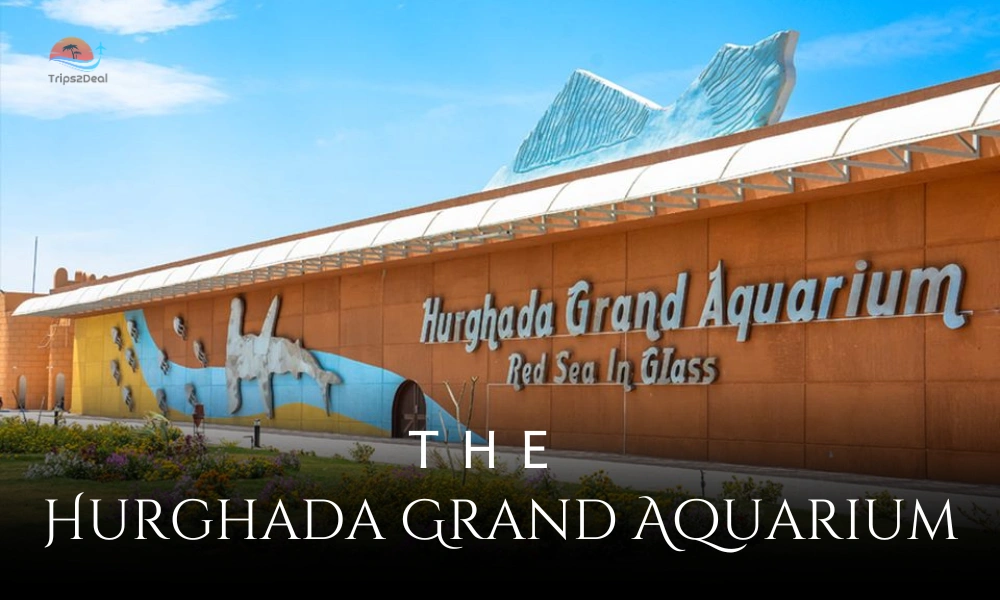Hurghada Grand Aquarium