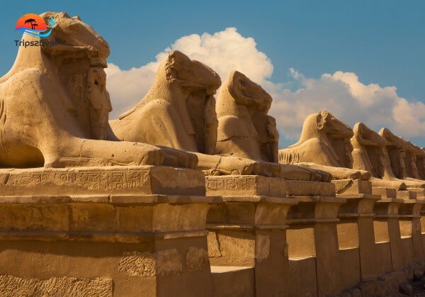 Two Day Trip to Luxor from Masra Alam